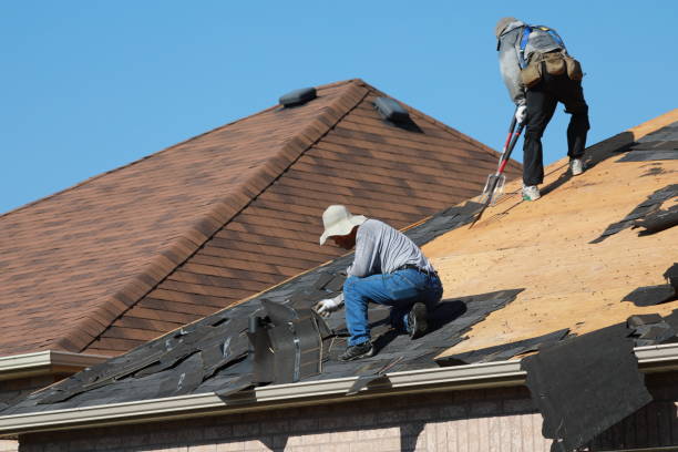 Best Roof Maintenance and Cleaning  in Powell, OH